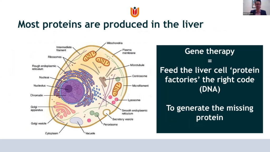 Most proteins are produced in the liver