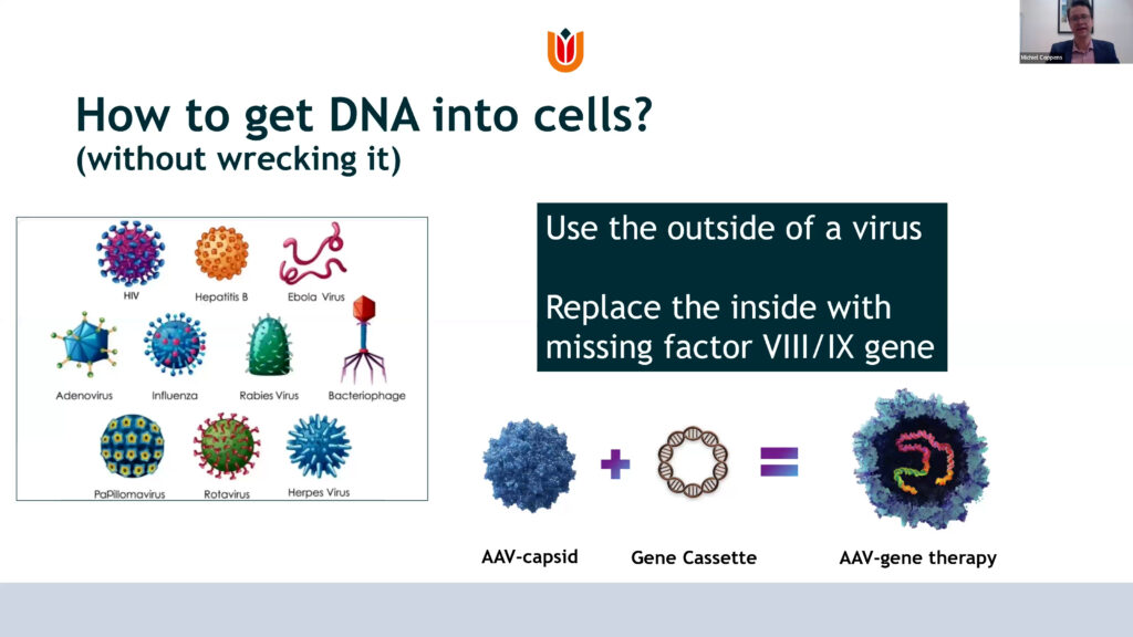 How to get DNA into cells (without wrecking it)