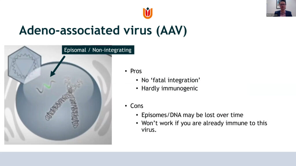 Adeno-associated virus (AAV)