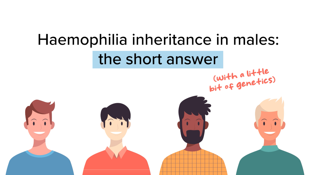 Haemophilia inheritance in males - the short answer (with a little bit of genetics)